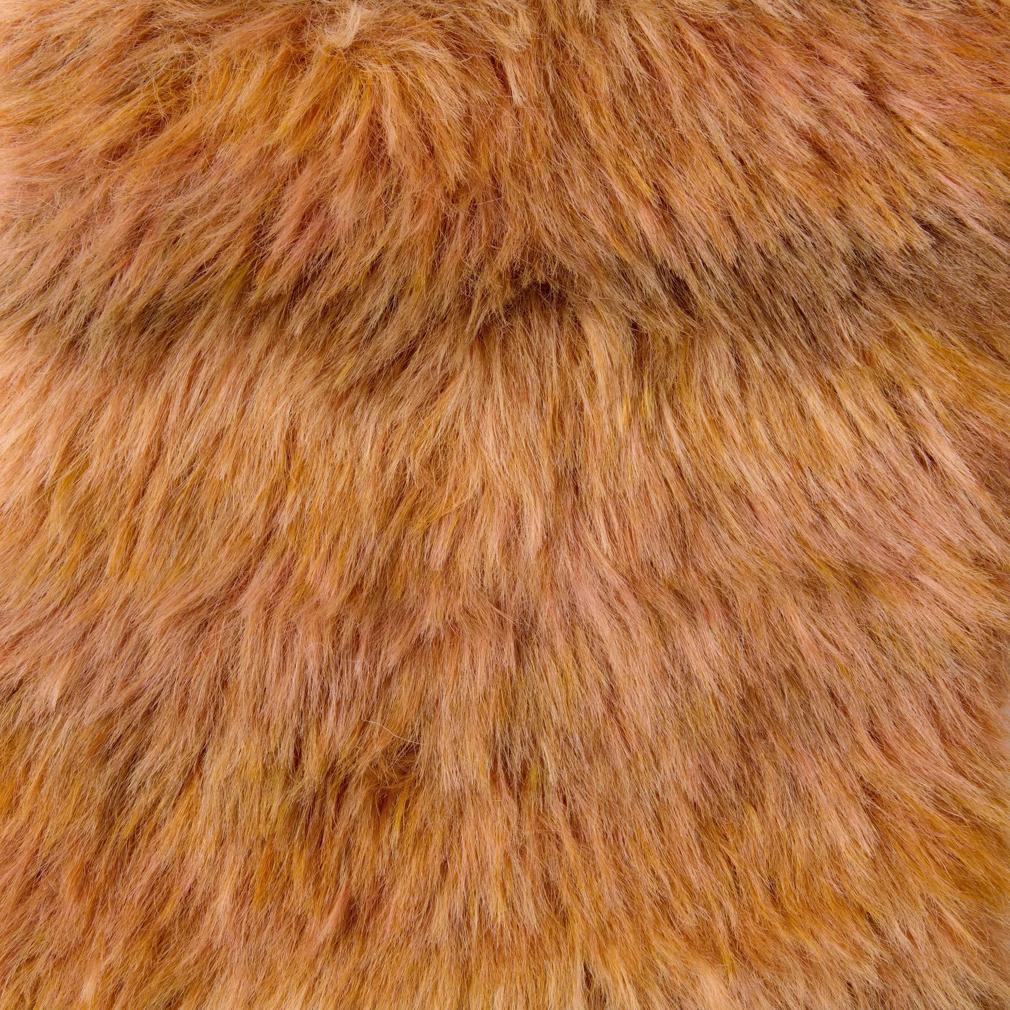 Creative Fur Print