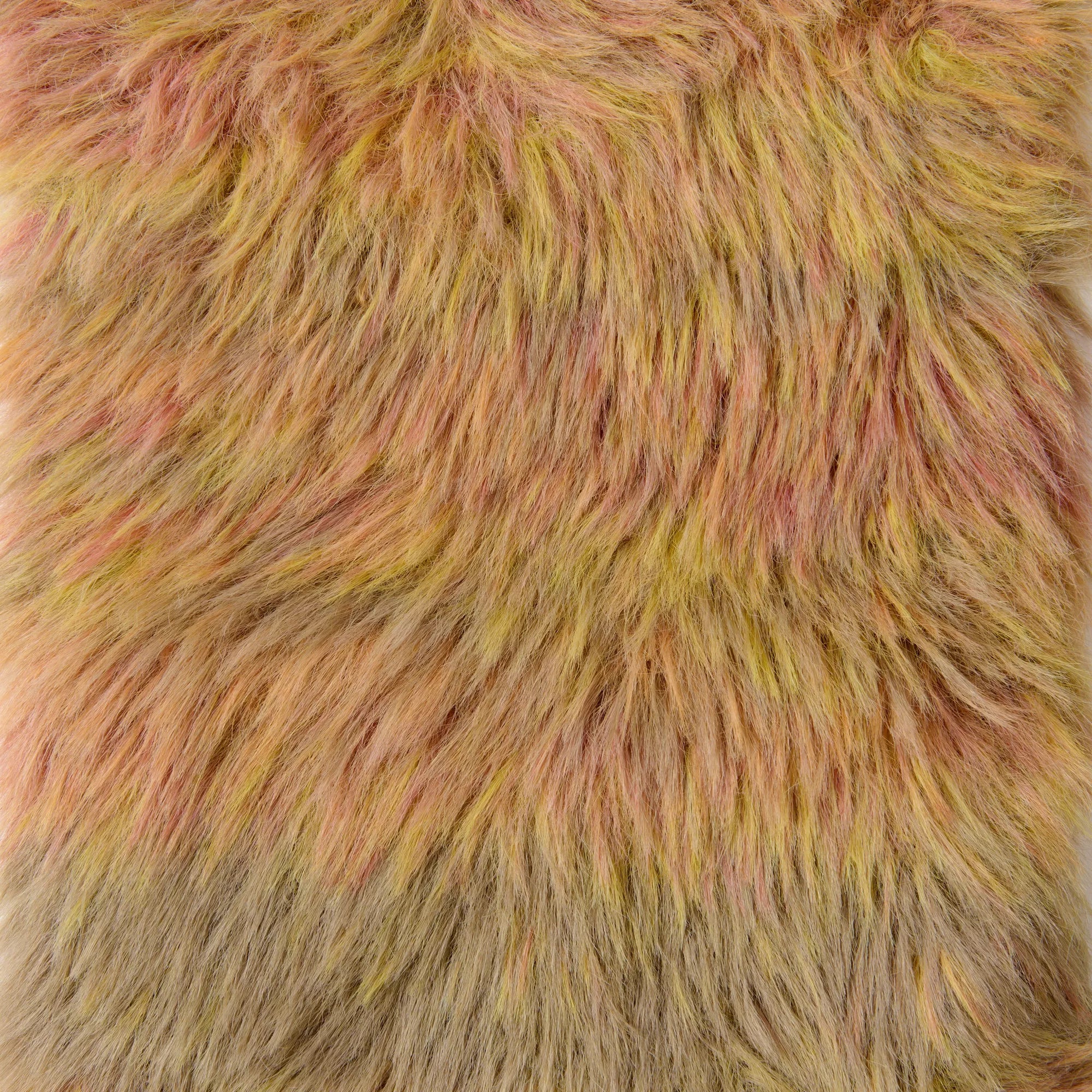 Creative Fur Print