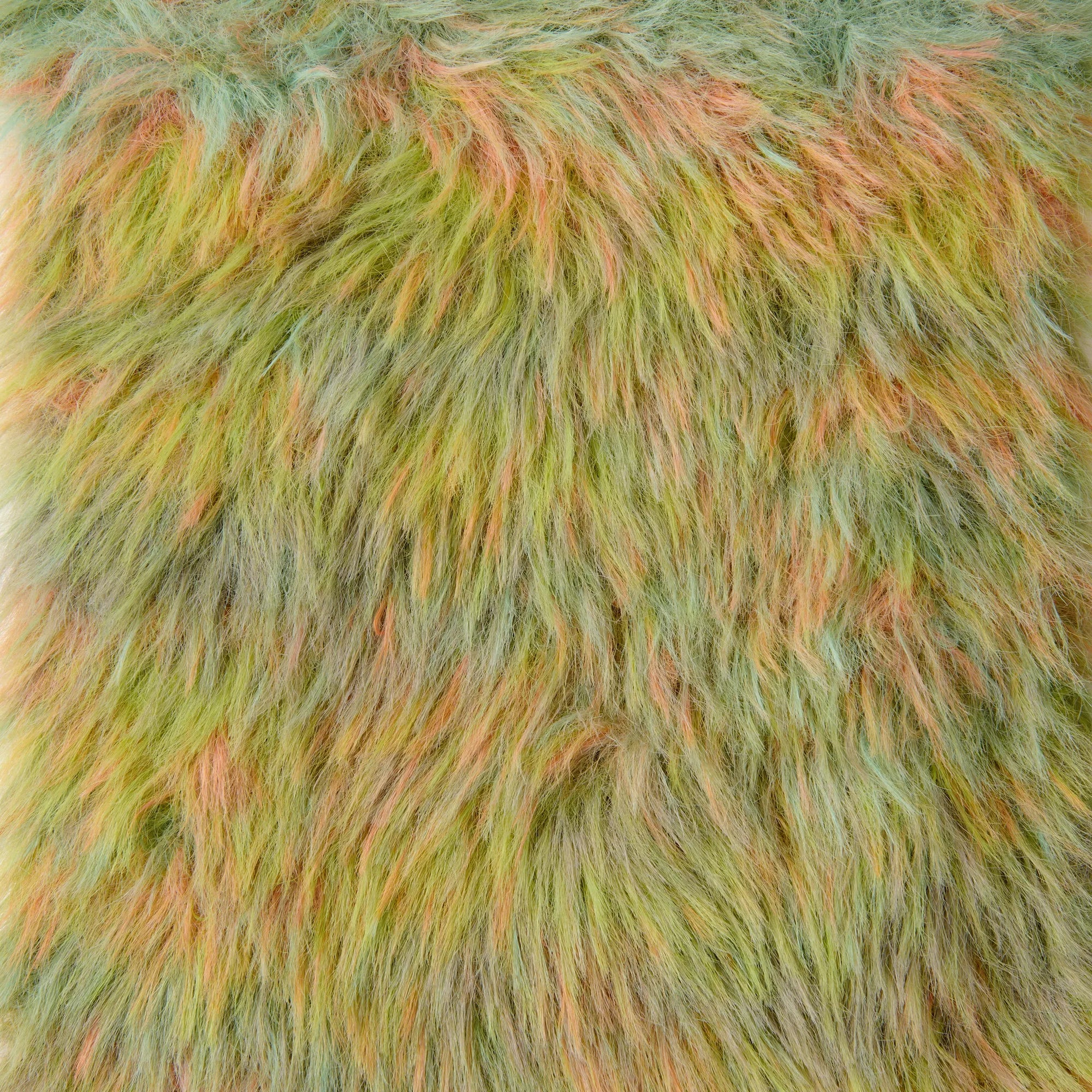 Creative Fur Print