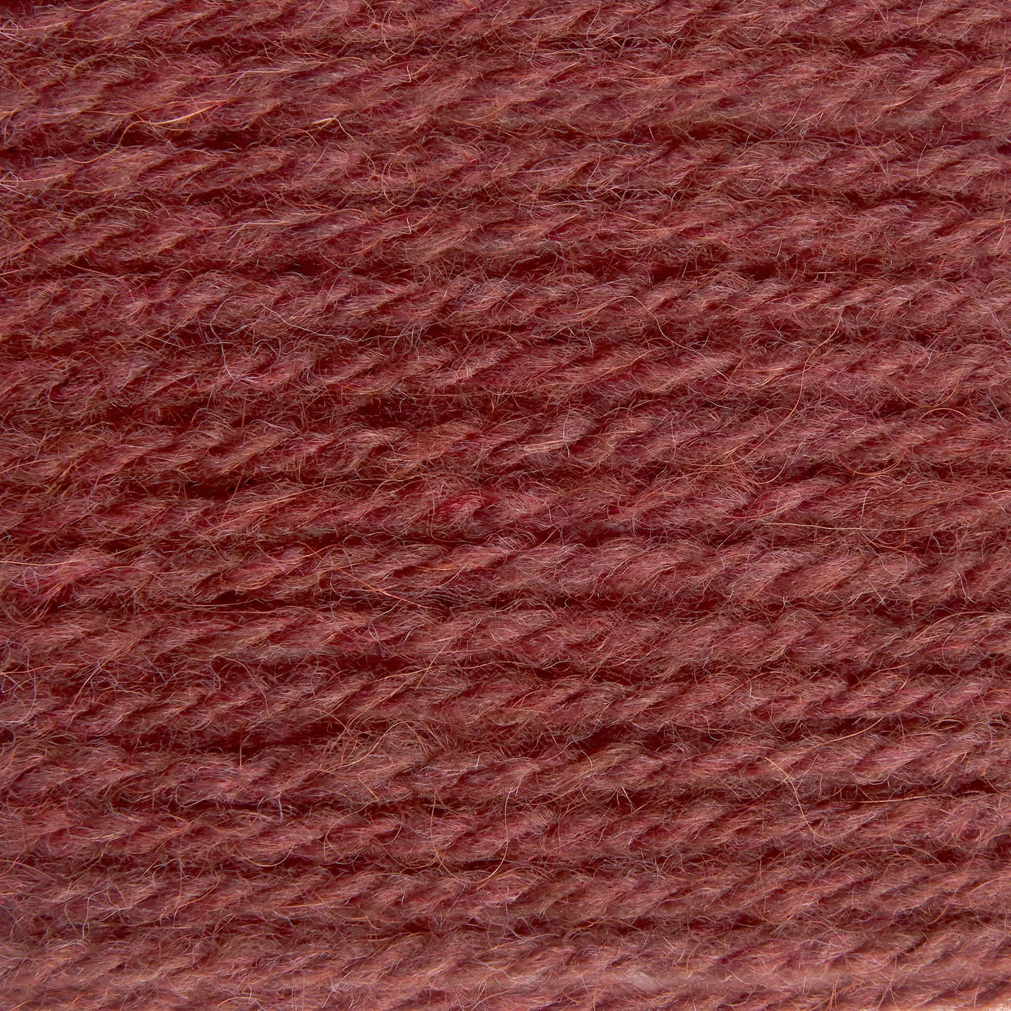 Soft Alpaca