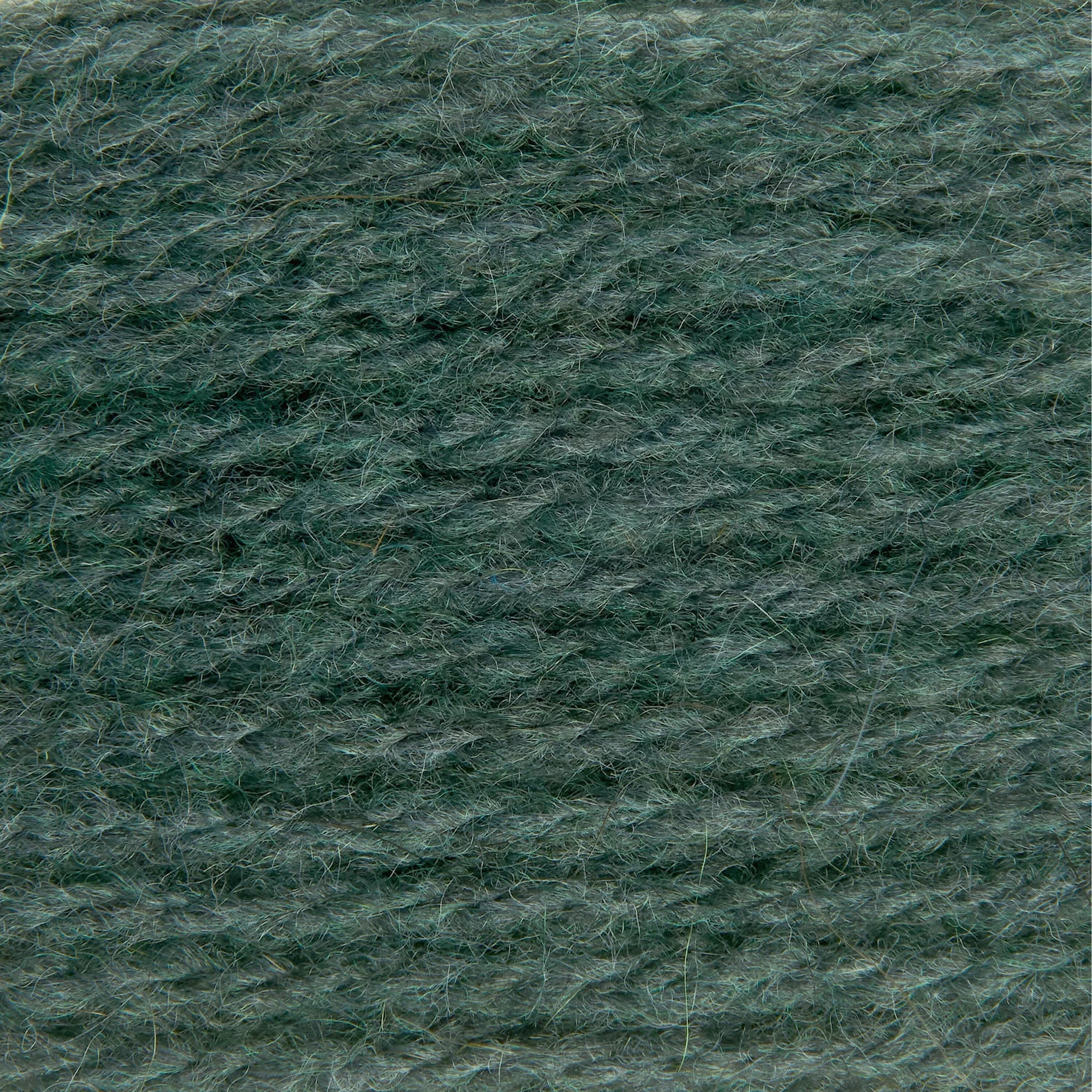 Soft Alpaca